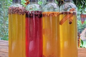 Boost Gut Health: Herbal Kombucha Benefits & Recipes The Ultimate Herbal Remedies Guide: Natural Healing for a Healthier Life Boost Gut Health: Herbal Kombucha Benefits & Recipes | The Ultimate Herbal Remedies Guide: Natural Healing for a Healthier Life