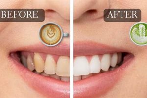 Prevent Herbal Tea Stain Teeth: Tips & Tricks The Ultimate Herbal Remedies Guide: Natural Healing for a Healthier Life Prevent Herbal Tea Stain Teeth: Tips & Tricks | The Ultimate Herbal Remedies Guide: Natural Healing for a Healthier Life