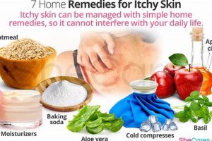 Soothing Herbal Treatment for Itchy Skin Relief | The Ultimate Herbal Remedies Guide: Natural Healing for a Healthier Life