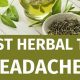 Can Tea Cause It? Herbal Tea Headaches: Tips & Relief | The Ultimate Herbal Remedies Guide: Natural Healing for a Healthier Life