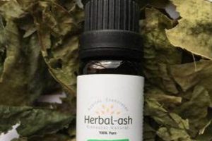 Unlock Herbal Ash Benefits: Uses &amp; Safety Tips | The Ultimate Herbal Remedies Guide: Natural Healing for a Healthier Life