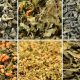 Best Herbal Loose Leaf Tea: Brew Your Blissful Cup | The Ultimate Herbal Remedies Guide: Natural Healing for a Healthier Life