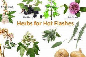 Natural Hot Flushes Herbal Remedies: Relief Guide The Ultimate Herbal Remedies Guide: Natural Healing for a Healthier Life Natural Hot Flushes Herbal Remedies: Relief Guide | The Ultimate Herbal Remedies Guide: Natural Healing for a Healthier Life