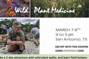 Learn at [Herbal Medics Academy]: Herbalism Training | The Ultimate Herbal Remedies Guide: Natural Healing for a Healthier Life