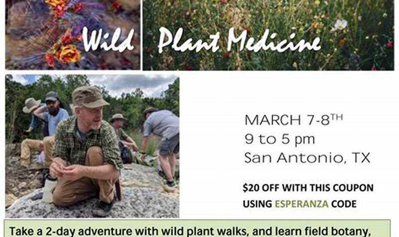 Learn at [Herbal Medics Academy]: Herbalism Training | The Ultimate Herbal Remedies Guide: Natural Healing for a Healthier Life