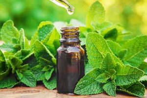 Unveiling Mint Herbal Uses: Benefits & Beyond The Ultimate Herbal Remedies Guide: Natural Healing for a Healthier Life Unveiling Mint Herbal Uses: Benefits & Beyond | The Ultimate Herbal Remedies Guide: Natural Healing for a Healthier Life