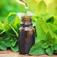 Unveiling Mint Herbal Uses: Benefits & Beyond | The Ultimate Herbal Remedies Guide: Natural Healing for a Healthier Life
