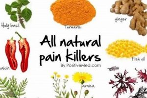 San Jose: Natural Herbal Pain Relief Options & Beyond | The Ultimate Herbal Remedies Guide: Natural Healing for a Healthier Life