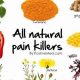 San Jose: Natural Herbal Pain Relief Options & Beyond | The Ultimate Herbal Remedies Guide: Natural Healing for a Healthier Life