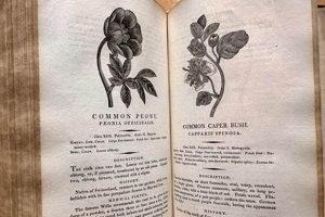 Rare Antique Herbal Books: A Collector's Guide | The Ultimate Herbal Remedies Guide: Natural Healing for a Healthier Life