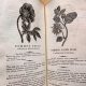 Rare Antique Herbal Books: A Collector's Guide | The Ultimate Herbal Remedies Guide: Natural Healing for a Healthier Life