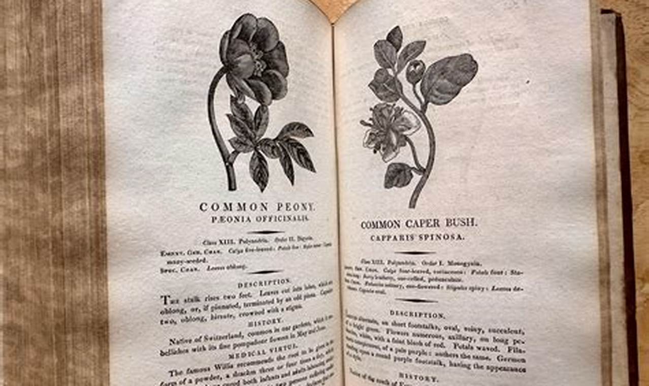 Rare Antique Herbal Books: A Collector's Guide | The Ultimate Herbal Remedies Guide: Natural Healing for a Healthier Life