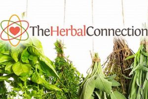 Discover the Herbal Connection: Your Wellness Guide The Ultimate Herbal Remedies Guide: Natural Healing for a Healthier Life Discover the Herbal Connection: Your Wellness Guide | The Ultimate Herbal Remedies Guide: Natural Healing for a Healthier Life