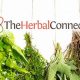 Discover the Herbal Connection: Your Wellness Guide | The Ultimate Herbal Remedies Guide: Natural Healing for a Healthier Life