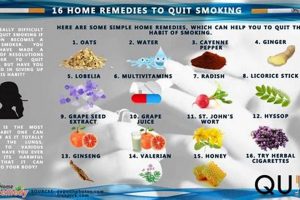 Natural Quit Smoking Herbal Remedies That Actually Work | The Ultimate Herbal Remedies Guide: Natural Healing for a Healthier Life