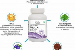 Boost Brainpower: Herbal Brain Supplements Guide | The Ultimate Herbal Remedies Guide: Natural Healing for a Healthier Life