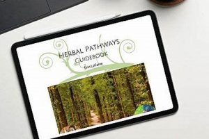 Unlocking Herbal Pathways: Your Natural Wellness Guide The Ultimate Herbal Remedies Guide: Natural Healing for a Healthier Life Unlocking Herbal Pathways: Your Natural Wellness Guide | The Ultimate Herbal Remedies Guide: Natural Healing for a Healthier Life
