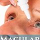 Herbal Macular Degeneration Treatment: Options &amp; Support | The Ultimate Herbal Remedies Guide: Natural Healing for a Healthier Life