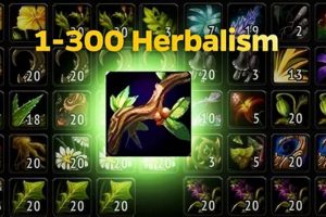 Beginner's Herbals: Mastering Herbalism 1-300 Skills | The Ultimate Herbal Remedies Guide: Natural Healing for a Healthier Life