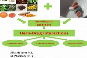 Herbals & Drug Interactions: Risks & Info The Ultimate Herbal Remedies Guide: Natural Healing for a Healthier Life Herbals & Drug Interactions: Risks & Info | The Ultimate Herbal Remedies Guide: Natural Healing for a Healthier Life