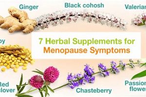 Natural Herbals: Herbal Drugs for Menopause Relief The Ultimate Herbal Remedies Guide: Natural Healing for a Healthier Life Natural Herbals: Herbal Drugs for Menopause Relief | The Ultimate Herbal Remedies Guide: Natural Healing for a Healthier Life