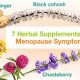 Natural Herbals: Herbal Drugs for Menopause Relief | The Ultimate Herbal Remedies Guide: Natural Healing for a Healthier Life