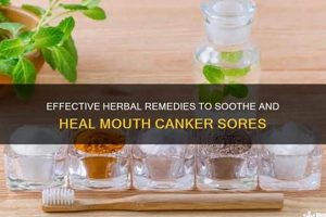 Natural Herbal Remedies for Mouth Sores: Quick Relief The Ultimate Herbal Remedies Guide: Natural Healing for a Healthier Life Natural Herbal Remedies for Mouth Sores: Quick Relief | The Ultimate Herbal Remedies Guide: Natural Healing for a Healthier Life