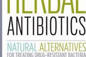 Unlock Herbal Power: Stephen Buhner's Antibiotics Guide The Ultimate Herbal Remedies Guide: Natural Healing for a Healthier Life Unlock Herbal Power: Stephen Buhner's Antibiotics Guide | The Ultimate Herbal Remedies Guide: Natural Healing for a Healthier Life