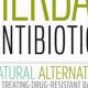 Unlock Herbal Power: Stephen Buhner's Antibiotics Guide | The Ultimate Herbal Remedies Guide: Natural Healing for a Healthier Life