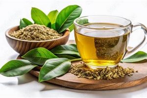 Trace Source: South American Herbal Tea Origins & Benefits The Ultimate Herbal Remedies Guide: Natural Healing for a Healthier Life Trace Source: South American Herbal Tea Origins & Benefits | The Ultimate Herbal Remedies Guide: Natural Healing for a Healthier Life