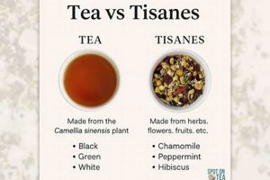 Guide: Tisane vs Herbal Tea - The Tea Difference | The Ultimate Herbal Remedies Guide: Natural Healing for a Healthier Life