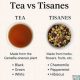 Guide: Tisane vs Herbal Tea - The Tea Difference | The Ultimate Herbal Remedies Guide: Natural Healing for a Healthier Life