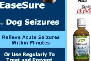 Natural Herbal Remedies for Dog Seizures: A Guide The Ultimate Herbal Remedies Guide: Natural Healing for a Healthier Life Natural Herbal Remedies for Dog Seizures: A Guide | The Ultimate Herbal Remedies Guide: Natural Healing for a Healthier Life