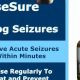 Natural Herbal Remedies for Dog Seizures: A Guide | The Ultimate Herbal Remedies Guide: Natural Healing for a Healthier Life