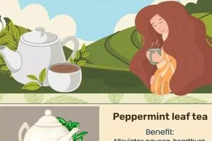 Pregnancy Tea: What Herbal Teas Are Safe & Delicious The Ultimate Herbal Remedies Guide: Natural Healing for a Healthier Life Pregnancy Tea: What Herbal Teas Are Safe & Delicious | The Ultimate Herbal Remedies Guide: Natural Healing for a Healthier Life
