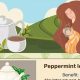 Pregnancy Tea: What Herbal Teas Are Safe & Delicious | The Ultimate Herbal Remedies Guide: Natural Healing for a Healthier Life