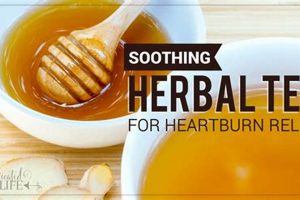 Best Herbal Tea for Heartburn Relief: Soothe Acid Reflux Naturally The Ultimate Herbal Remedies Guide: Natural Healing for a Healthier Life Best Herbal Tea for Heartburn Relief: Soothe Acid Reflux Naturally | The Ultimate Herbal Remedies Guide: Natural Healing for a Healthier Life