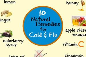 Quick Natural Herbal Cold Remedies Guide | The Ultimate Herbal Remedies Guide: Natural Healing for a Healthier Life