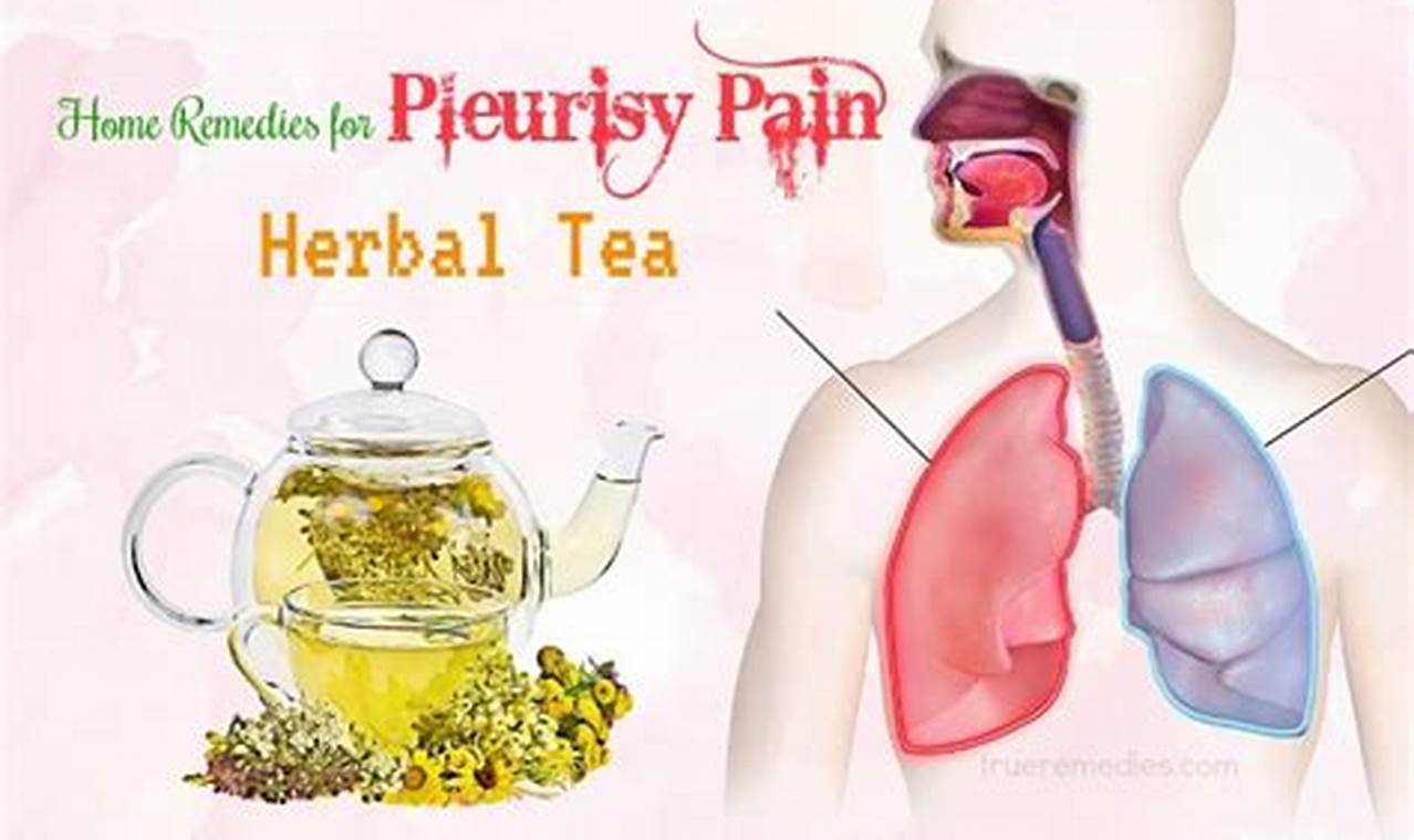 Natural Pleurisy Herbal Treatment: Relief & Remedies The Ultimate Herbal Remedies Guide: Natural Healing for a Healthier Life Natural Pleurisy Herbal Treatment: Relief & Remedies | The Ultimate Herbal Remedies Guide: Natural Healing for a Healthier Life