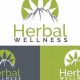 Natural Herbal Wellness in Lafayette, LA: Your Guide | The Ultimate Herbal Remedies Guide: Natural Healing for a Healthier Life
