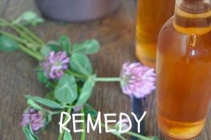 Natural Menopause Herbal Remedy: Relief &amp; More | The Ultimate Herbal Remedies Guide: Natural Healing for a Healthier Life