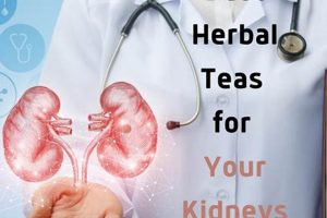 Discover: Best Herbal Tea for Kidneys + Benefits The Ultimate Herbal Remedies Guide: Natural Healing for a Healthier Life Discover: Best Herbal Tea for Kidneys + Benefits | The Ultimate Herbal Remedies Guide: Natural Healing for a Healthier Life