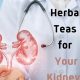 Discover: Best Herbal Tea for Kidneys + Benefits | The Ultimate Herbal Remedies Guide: Natural Healing for a Healthier Life