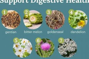 Boost Digestion: Herbal Bitters List Guide + Benefits The Ultimate Herbal Remedies Guide: Natural Healing for a Healthier Life Boost Digestion: Herbal Bitters List Guide + Benefits | The Ultimate Herbal Remedies Guide: Natural Healing for a Healthier Life