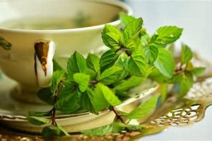 Discover Iranian Herbal Tea: Health & Flavor The Ultimate Herbal Remedies Guide: Natural Healing for a Healthier Life Discover Iranian Herbal Tea: Health & Flavor | The Ultimate Herbal Remedies Guide: Natural Healing for a Healthier Life