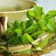 Discover Iranian Herbal Tea: Health & Flavor | The Ultimate Herbal Remedies Guide: Natural Healing for a Healthier Life