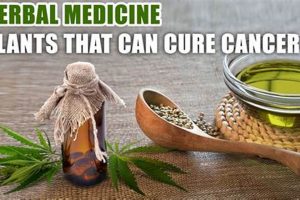Exploring Herbal Cancer Remedies: Benefits & Risks The Ultimate Herbal Remedies Guide: Natural Healing for a Healthier Life Exploring Herbal Cancer Remedies: Benefits & Risks | The Ultimate Herbal Remedies Guide: Natural Healing for a Healthier Life