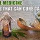 Exploring Herbal Cancer Remedies: Benefits & Risks | The Ultimate Herbal Remedies Guide: Natural Healing for a Healthier Life