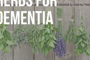 Natural Dementia Herbal Treatment: Options & Safety The Ultimate Herbal Remedies Guide: Natural Healing for a Healthier Life Natural Dementia Herbal Treatment: Options & Safety | The Ultimate Herbal Remedies Guide: Natural Healing for a Healthier Life