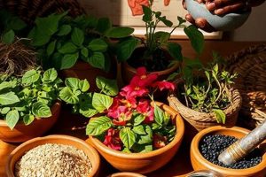 Unlocking Herbal Knowledge: Benefits & Uses Guide The Ultimate Herbal Remedies Guide: Natural Healing for a Healthier Life Unlocking Herbal Knowledge: Benefits & Uses Guide | The Ultimate Herbal Remedies Guide: Natural Healing for a Healthier Life